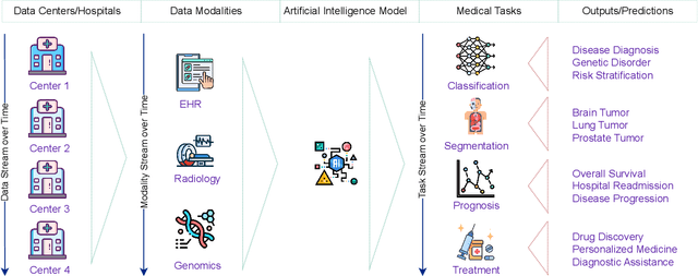 Figure 1 for Continual Learning in Medical Imaging from Theory to Practice: A Survey and Practical Analysis