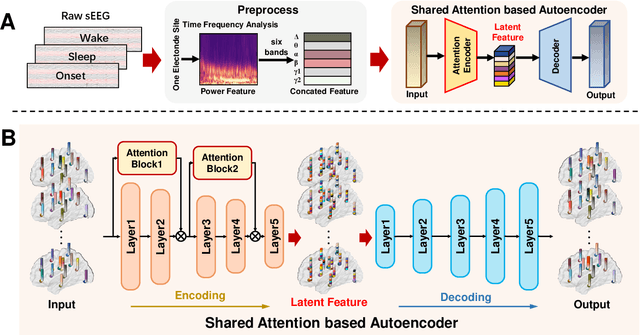 Figure 1 for Shared Attention-based Autoencoder with Hierarchical Fusion-based Graph Convolution Network for sEEG SOZ Identification