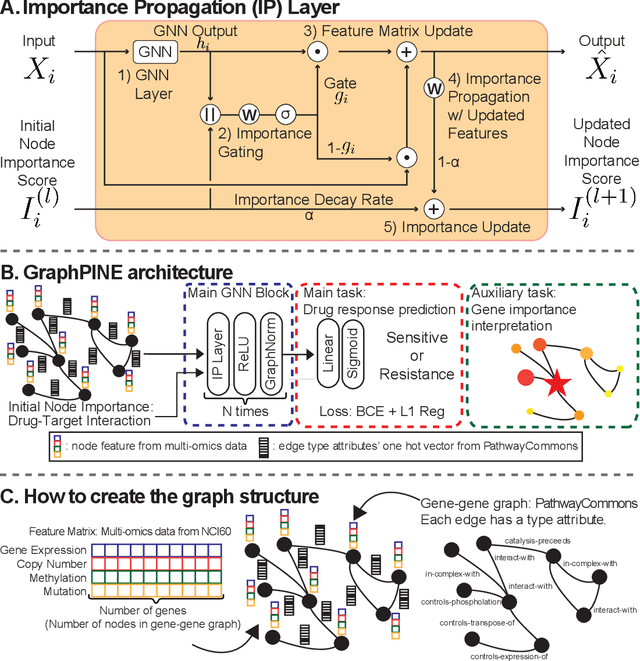 Figure 1 for GraphPINE: Graph Importance Propagation for Interpretable Drug Response Prediction