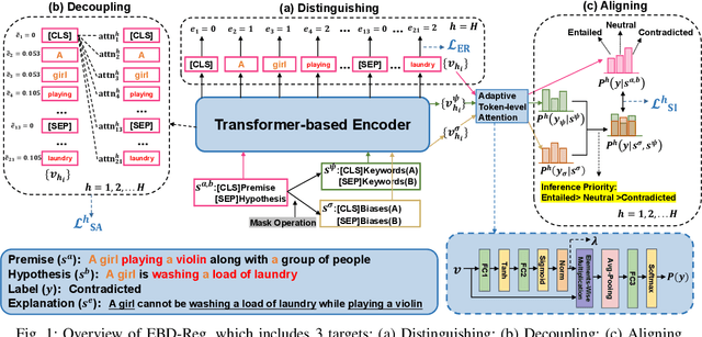 Figure 1 for Explanation based Bias Decoupling Regularization for Natural Language Inference