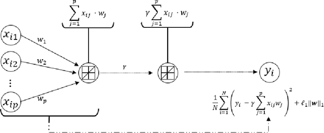 Figure 1 for Neural lasso: a unifying approach of lasso and neural networks