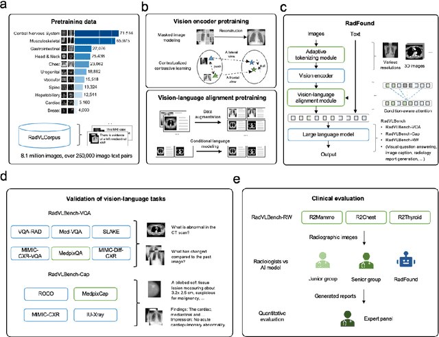 Figure 1 for Expert-level vision-language foundation model for real-world radiology and comprehensive evaluation