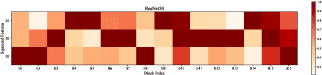 Figure 2 for BA-Net: Bridge Attention in Deep Neural Networks