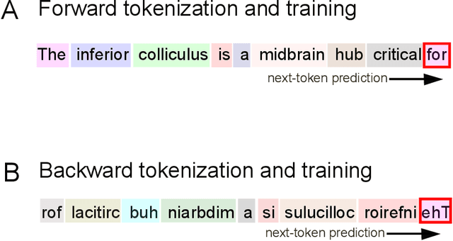 Figure 1 for Beyond Human-Like Processing: Large Language Models Perform Equivalently on Forward and Backward Scientific Text