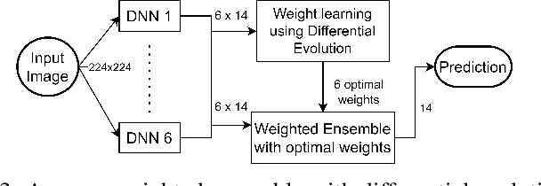 Figure 3 for SynthEnsemble: A Fusion of CNN, Vision Transformer, and Hybrid Models for Multi-Label Chest X-Ray Classification