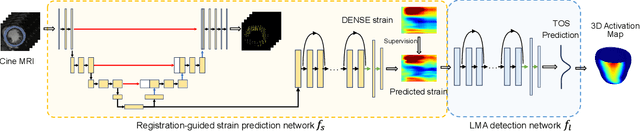 Figure 1 for Multimodal Learning To Improve Cardiac Late Mechanical Activation Detection From Cine MR Images