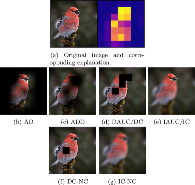Figure 1 for Enhancing Post-Hoc Explanation Benchmark Reliability for Image Classification
