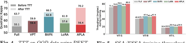 Figure 4 for Efficient Self-Supervised Adaptation for Medical Image Analysis