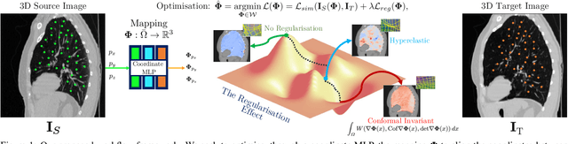 Figure 1 for Homeomorphic Image Registration via Conformal-Invariant Hyperelastic Regularisation