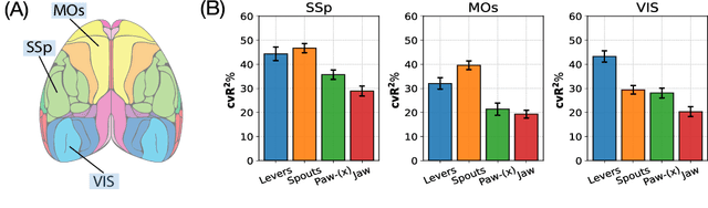 Figure 1 for Exploring Behavior-Relevant and Disentangled Neural Dynamics with Generative Diffusion Models