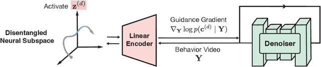 Figure 3 for Exploring Behavior-Relevant and Disentangled Neural Dynamics with Generative Diffusion Models