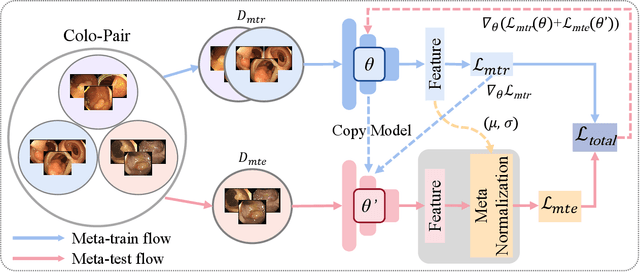 Figure 3 for Towards Discriminative Representation with Meta-learning for Colonoscopic Polyp Re-Identification