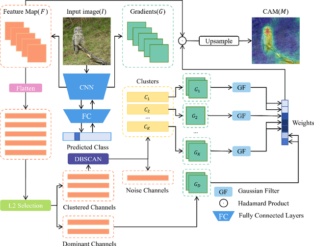 Figure 1 for CF-CAM: Gradient Perturbation Mitigation and Feature Stabilization for Reliable Interpretability