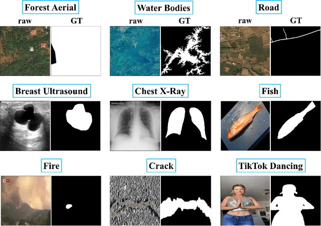 Figure 2 for An Empirical Study on the Robustness of the Segment Anything Model