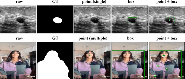 Figure 3 for An Empirical Study on the Robustness of the Segment Anything Model