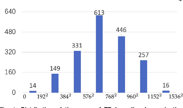 Figure 2 for Revisiting Computer-Aided Tuberculosis Diagnosis