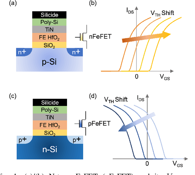 Figure 1 for Reconfigurable Frequency Multipliers Based on Complementary Ferroelectric Transistors