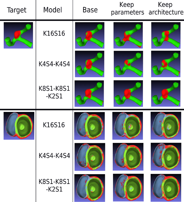 Figure 4 for Benefits of mirror weight symmetry for 3D mesh segmentation in biomedical applications