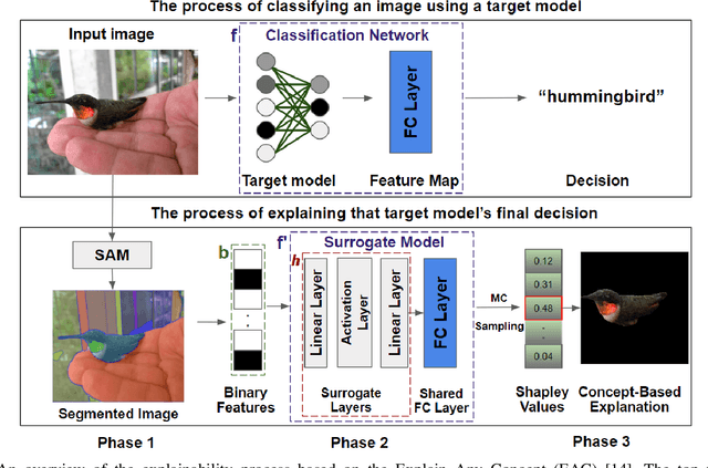 Figure 1 for Improving the Explain-Any-Concept by Introducing Nonlinearity to the Trainable Surrogate Model