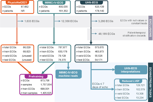 Figure 1 for ECG-FM: An Open Electrocardiogram Foundation Model