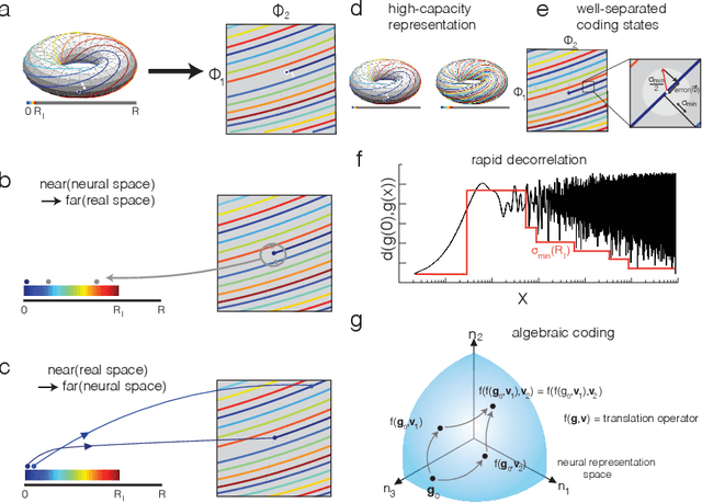 Figure 3 for Self-Supervised Learning of Representations for Space Generates Multi-Modular Grid Cells
