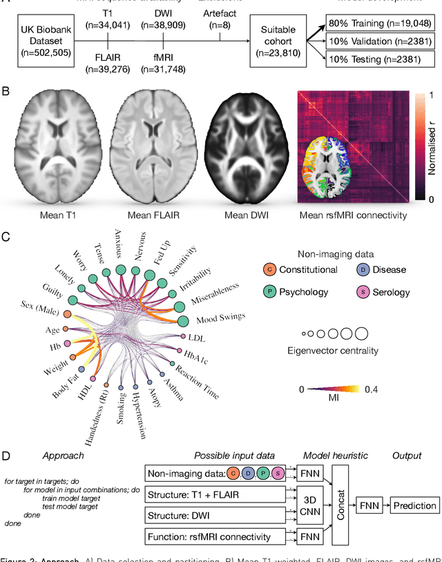 Figure 3 for The legibility of the imaged human brain
