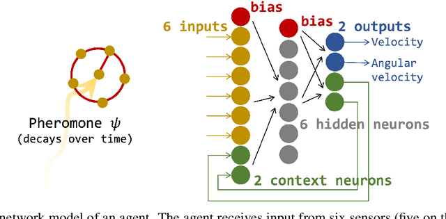 Figure 1 for Evolution of Collective AI Beyond Individual Optimization