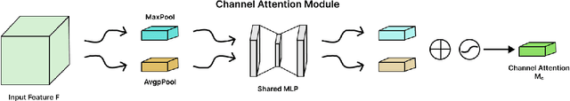 Figure 4 for Accurate Water Level Monitoring in AWD Rice Cultivation Using Convolutional Neural Networks