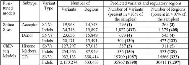 Figure 2 for DeepVRegulome: DNABERT-based deep-learning framework for predicting the functional impact of short genomic variants on the human regulome