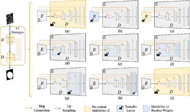 Figure 3 for Segmenting Fetal Head with Efficient Fine-tuning Strategies in Low-resource Settings: an empirical study with U-Net