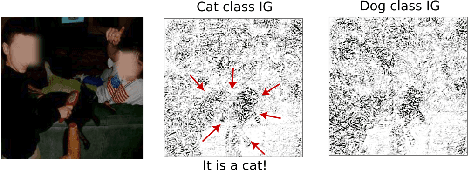 Figure 3 for Transforming gradient-based techniques into interpretable methods