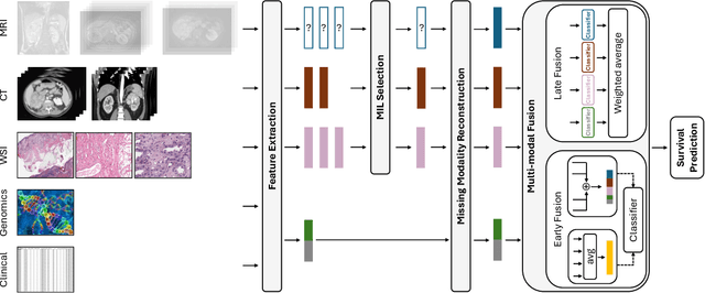 Figure 2 for MMIST-ccRCC: A Real World Medical Dataset for the Development of Multi-Modal Systems