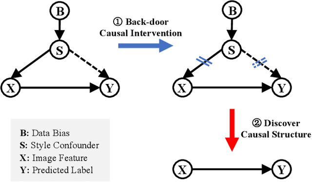 Figure 2 for Casual Inference via Style Bias Deconfounding for Domain Generalization