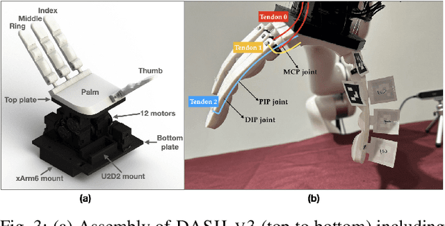 Figure 3 for A Framework for Designing Anthropomorphic Soft Hands through Interaction