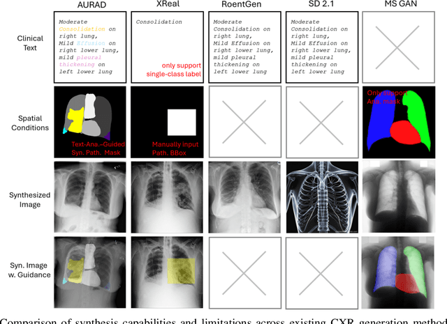 Figure 3 for AURAD: Anatomy-Pathology Unified Radiology Synthesis with Progressive Representations