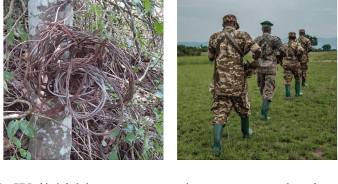 Figure 1 for Generative AI Against Poaching: Latent Composite Flow Matching for Wildlife Conservation