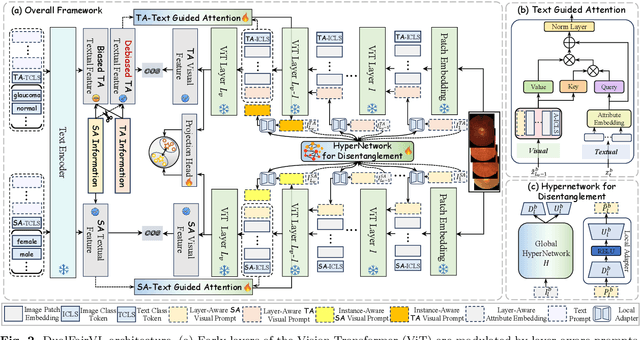 Figure 3 for Toward Robust Medical Fairness: Debiased Dual-Modal Alignment via Text-Guided Attribute-Disentangled Prompt Learning for Vision-Language Models