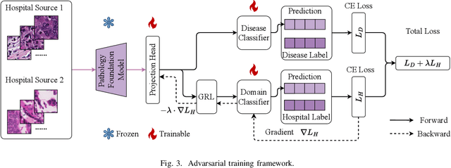 Figure 3 for Adversarial Hospital-Invariant Feature Learning for WSI Patch Classification