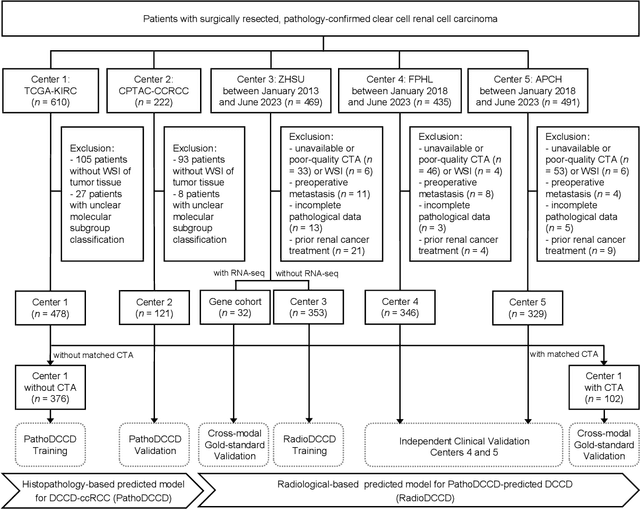 Figure 3 for Multiscale Cross-Modal Mapping of Molecular, Pathologic, and Radiologic Phenotypes in Lipid-Deficient Clear Cell Renal CellCarcinoma