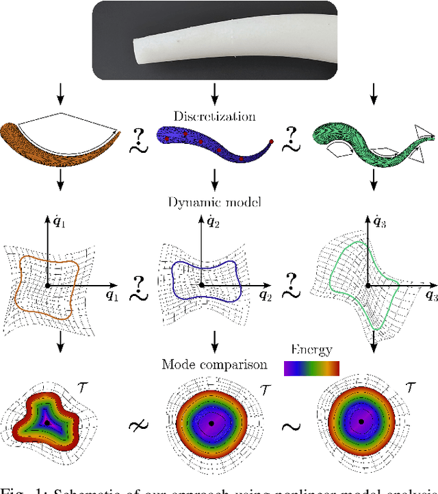 Figure 1 for Nonlinear Modes as a Tool for Comparing the Mathematical Structure of Dynamic Models of Soft Robots