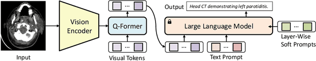 Figure 1 for Customizing General-Purpose Foundation Models for Medical Report Generation