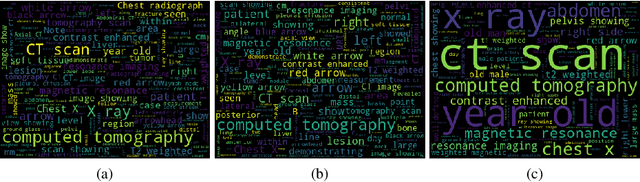 Figure 3 for Customizing General-Purpose Foundation Models for Medical Report Generation