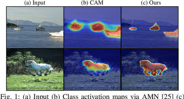 Figure 1 for Fine-grained Background Representation for Weakly Supervised Semantic Segmentation