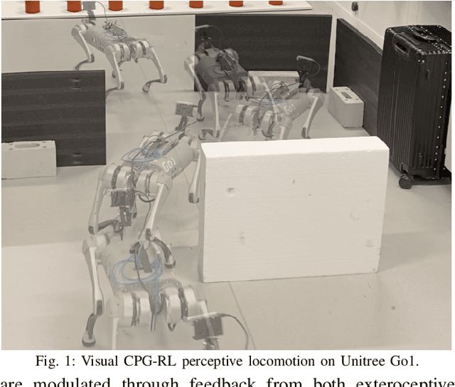 Figure 1 for Visual CPG-RL: Learning Central Pattern Generators for Visually-Guided Quadruped Navigation