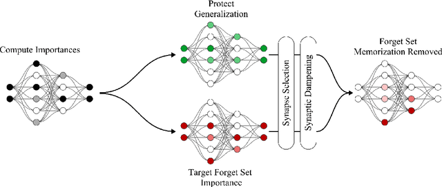 Figure 1 for Fast Machine Unlearning Without Retraining Through Selective Synaptic Dampening