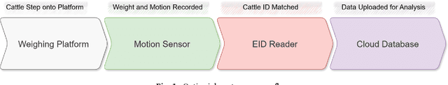 Figure 2 for Mob-based cattle weight gain forecasting using ML models