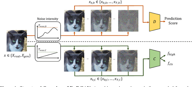 Figure 1 for DuDGAN: Improving Class-Conditional GANs via Dual-Diffusion