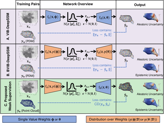 Figure 1 for Weakly Supervised Bayesian Shape Modeling from Unsegmented Medical Images