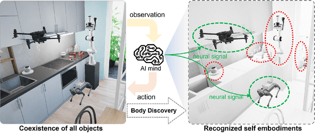 Figure 1 for Body Discovery of Embodied AI