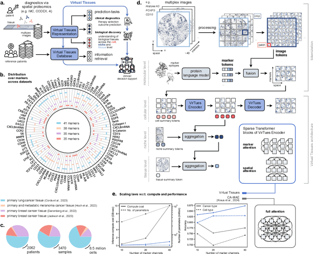 Figure 1 for AI-powered virtual tissues from spatial proteomics for clinical diagnostics and biomedical discovery